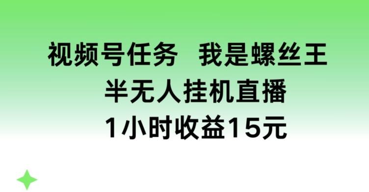 视频号任务，我是螺丝王， 半无人挂机1小时收益15元【揭秘】-89网创