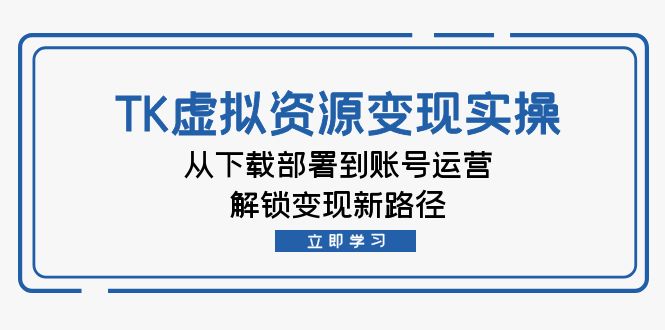 TK虚拟资料变现实操：从下载部署到账号运营，解锁变现新路径-89网创