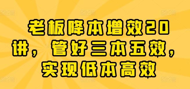 老板降本增效20讲，管好三本五效，实现低本高效-89网创