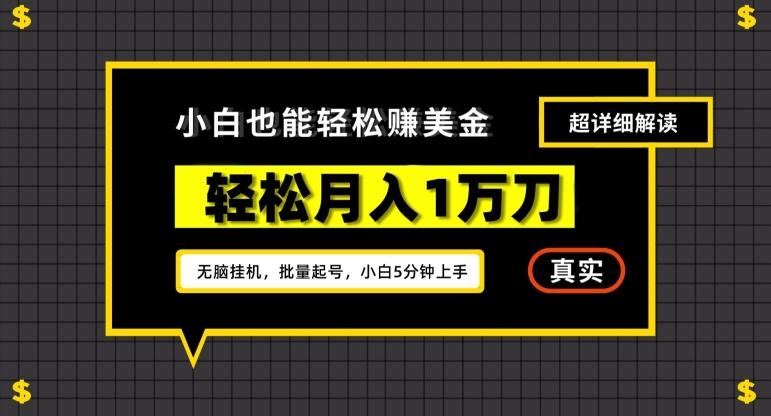 谷歌看广告撸美金2.0，无脑挂机，多号操作，月入1万刀【揭秘】-89网创