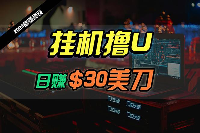 (10013期)日赚30美刀，2024最新海外挂机撸U内部项目，全程无人值守，可批量放大-89网创