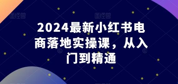 2024最新小红书电商落地实操课，从入门到精通-89网创