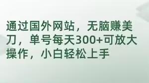 通过国外网站，无脑赚美刀，单号每天300+可放大操作，小白轻松上手【揭秘】-89网创