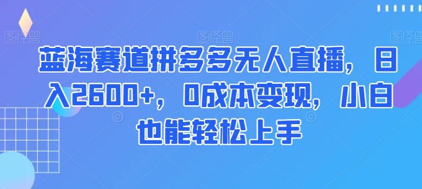 蓝海赛道拼多多无人直播，日入2600+，0成本变现，小白也能轻松上手【揭秘】-89网创