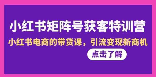 小红书矩阵号获客特训营-第10期，小红书电商的带货课，引流变现新商机-89网创