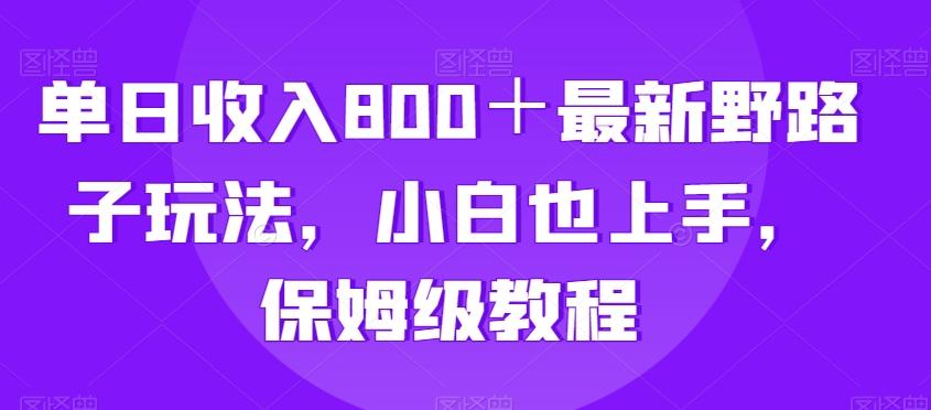 单日收入800＋最新野路子玩法，小白也上手，保姆级教程-89网创