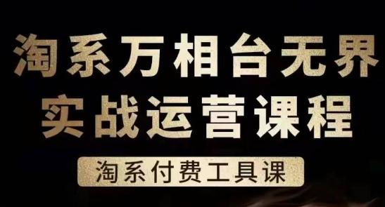 淘系万相台无界实战运营课，淘系付费工具课-89网创