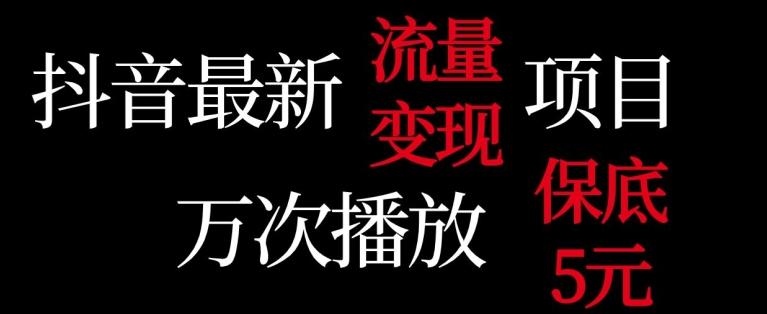 抖音流量变现，万次播放保底5元，额外收入-89网创