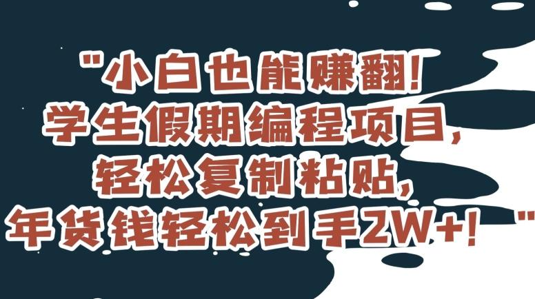 小白也能赚翻！学生假期编程项目，轻松复制粘贴，年货钱轻松到手2W+【揭秘】-89网创
