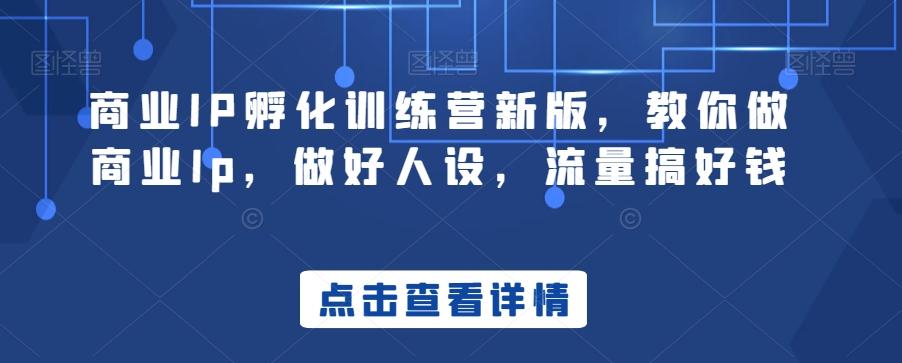 商业IP孵化训练营新版，教你做商业Ip，做好人设，流量搞好钱-89网创