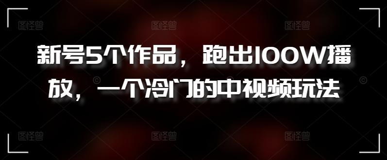 新号5个作品，跑出100W播放，一个冷门的中视频玩法【揭秘】-89网创
