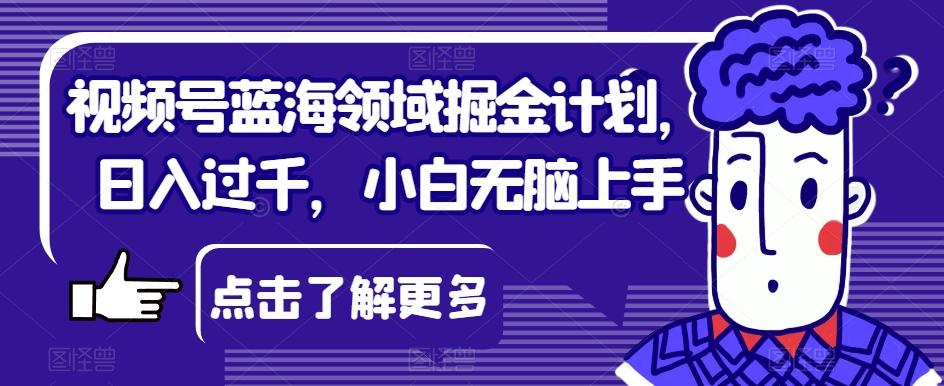 视频号蓝海领域掘金计划，日入过千，小白无脑上手【揭秘】-89网创