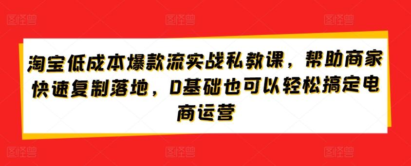 淘宝低成本爆款流实战私教课，帮助商家快速复制落地，0基础也可以轻松搞定电商运营-89网创