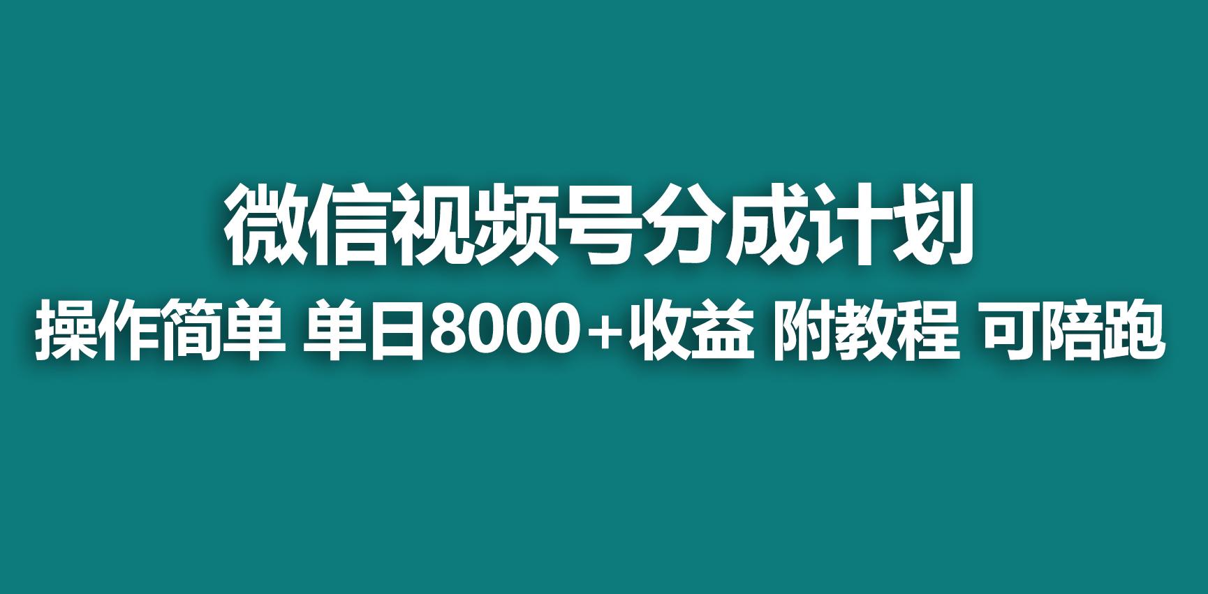 【蓝海项目】视频号分成计划，快速开通收益，单天爆单8000+，送玩法教程-89网创