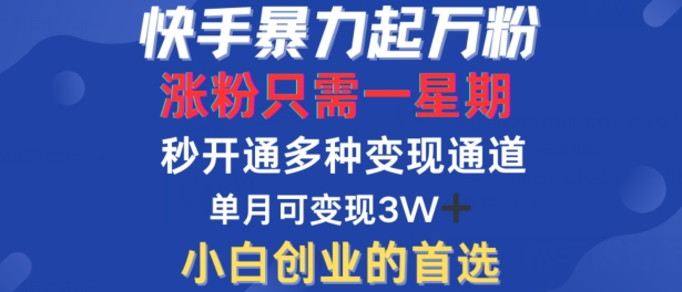 快手暴力起万粉，涨粉只需一星期，多种变现模式，直接秒开万合，单月变现过W【揭秘】-89网创