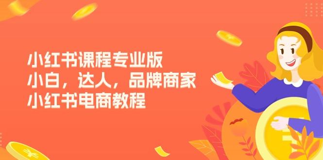 小红书课程专业版，小白，达人，品牌商家，小红书电商教程(15节-89网创