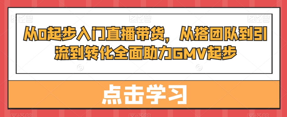 从0起步入门直播带货，​从搭团队到引流到转化全面助力GMV起步-89网创