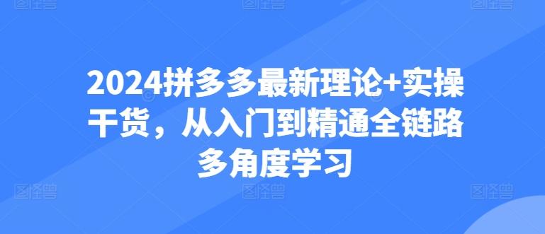 2024拼多多最新理论+实操干货，从入门到精通全链路多角度学习-89网创