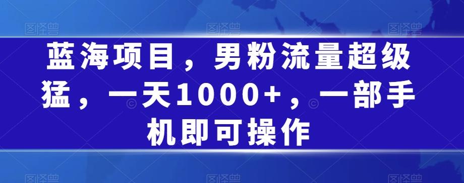 蓝海项目，男粉流量超级猛，一天1000+，一部手机即可操作【揭秘】-89网创
