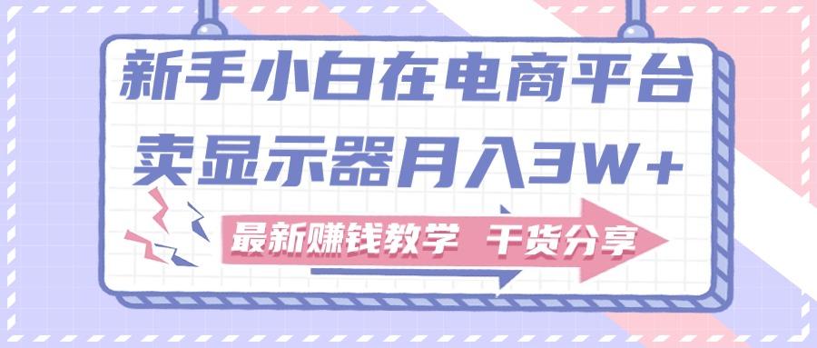 新手小白如何做到在电商平台卖显示器月入3W+，最新赚钱教学干货分享-89网创