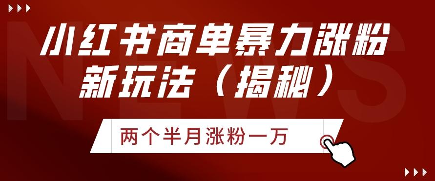 小红书商单暴力涨粉新玩法两个半月涨粉一万（揭秘）-89网创