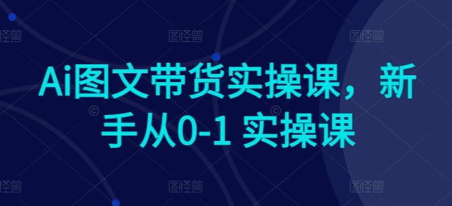 Ai图文带货实操课，新手从0-1 实操课-89网创