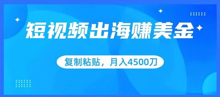 短视频出海赚美金，复制粘贴批量操作，小白轻松掌握，月入4500美刀【揭秘】-89网创