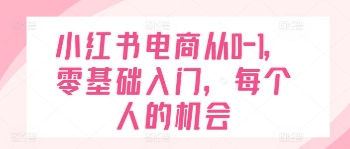 小红书电商从0-1，零基础入门，每个人的机会-89网创