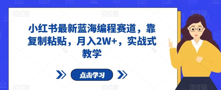 小红书最新蓝海编程赛道，靠复制粘贴，月入2W+，实战式教学【揭秘】-89网创