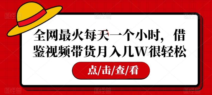 全网最火每天一个小时，借鉴视频带货月入几W很轻松【揭秘】-89网创