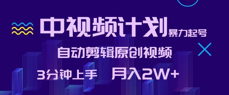 中视频计划暴力起号，自动剪辑原创视频，3分钟上手，月入2W+【揭秘】-89网创