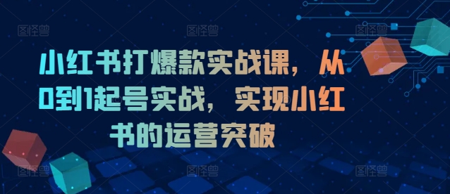 小红书打爆款实战课，从0到1起号实战，实现小红书的运营突破-89网创