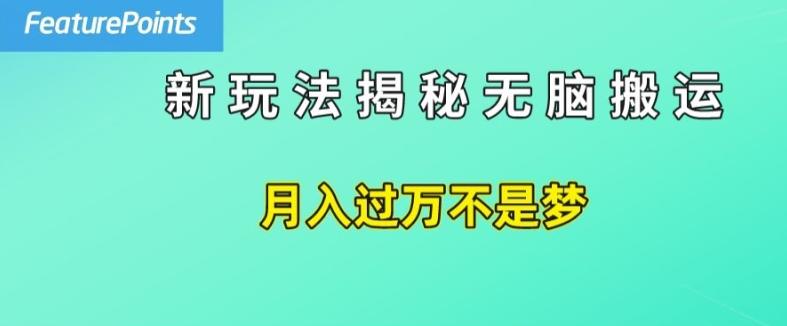 简单操作，每天50美元收入，搬运就是赚钱的秘诀【揭秘】-89网创