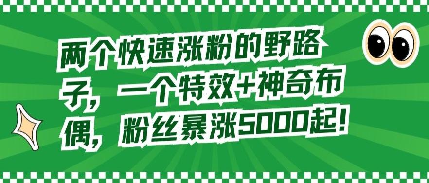 两个快速涨粉的野路子，一个特效+神奇布偶，粉丝暴涨5000起【揭秘】-89网创