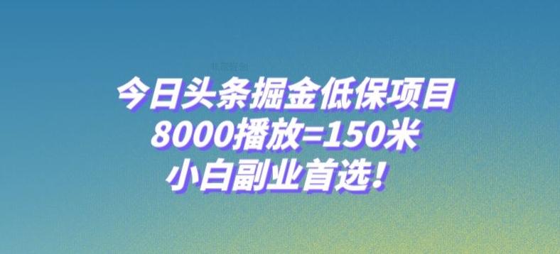 今日头条掘金低保项目，8000播放=150米，小白副业首选【揭秘】-89网创