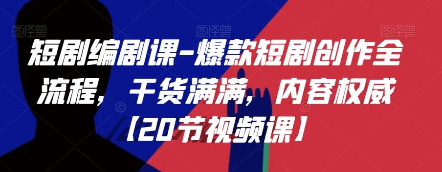 短剧编剧课-爆款短剧创作全流程，干货满满，内容权威【20节视频课】-89网创