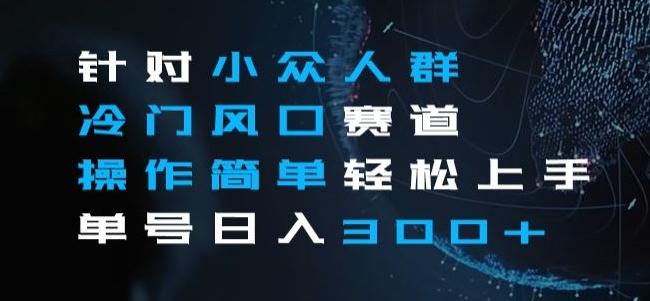 针对小众人群冷门风口赛道，操作简单轻松上手单号日入300+-89网创