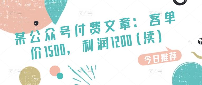 某公众号付费文章：客单价1500，利润1200(续)，市场几乎可以说是空白的-89网创