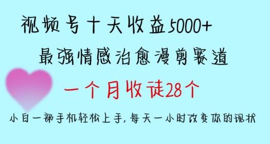 十天收益5000+，多平台捞金，视频号情感治愈漫剪，一个月收徒28个，小白一部手机轻松上手【揭秘】-89网创