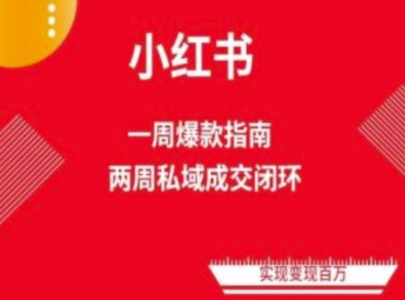 爆款小红书免费流量体系课程(两周变现)，小红书电商教程-89网创