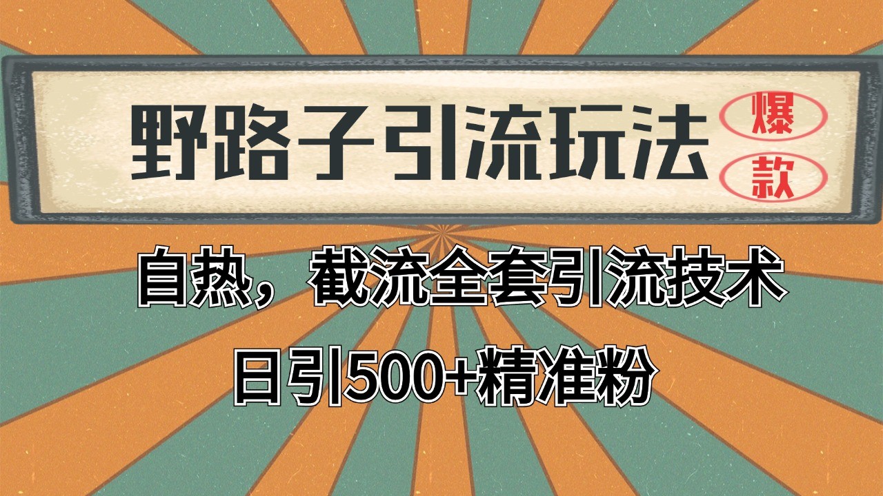 抖音小红书视频号全平台引流打法，全自动引流日引2000+精准客户-89网创