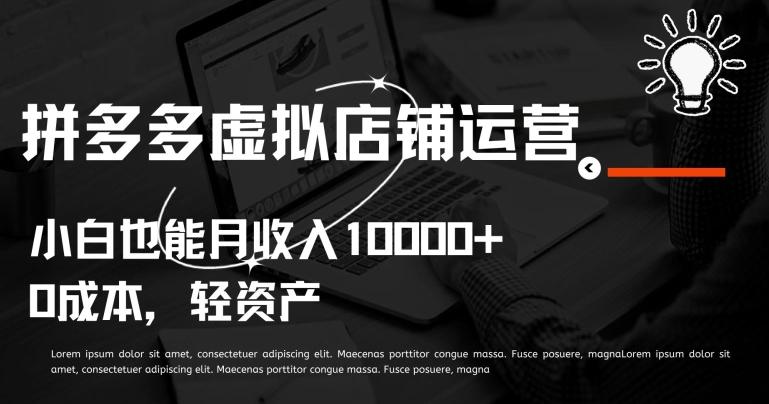 拼多多虚拟店铺运营小白也能月收入10000+【揭秘】-89网创