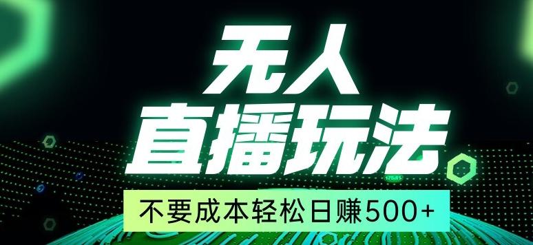 全网首发24年最新无人直播玩法，不需要成本，无需人力，一台电脑24小时为你工作-89网创