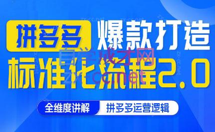 云杉老师·拼多多爆款打造标准化流程2.0-89网创