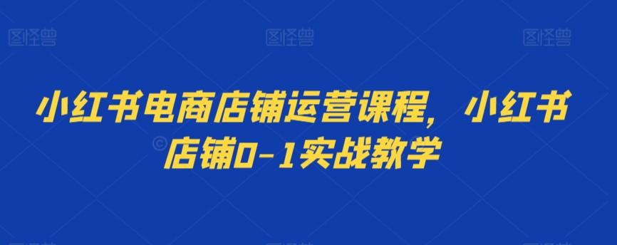 小红书电商店铺运营课程，小红书店铺0-1实战教学-89网创