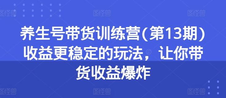 养生号带货训练营(第13期)收益更稳定的玩法，让你带货收益爆炸-89网创