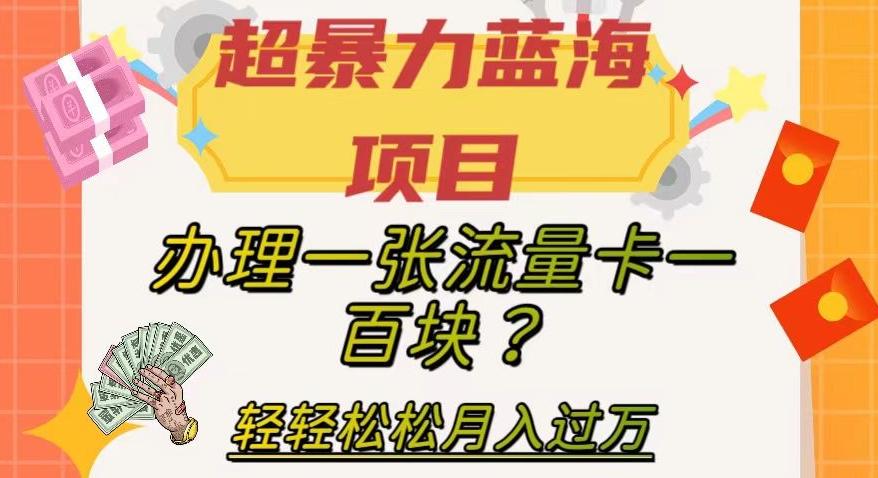 超暴力蓝海项目，办理一张流量卡一百块？轻轻松松月入过万，保姆级教程【揭秘】-89网创