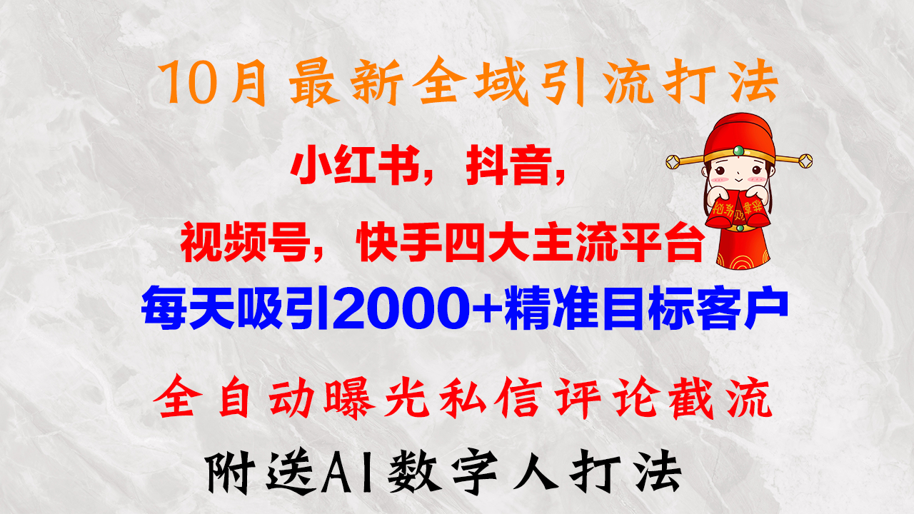 10月最新小红书，抖音，视频号，快手四大平台全域引流，，每天吸引2000…-89网创