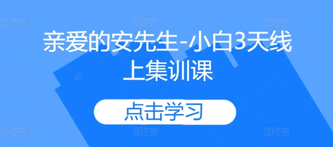 亲爱的安先生-小白3天线上集训课-89网创