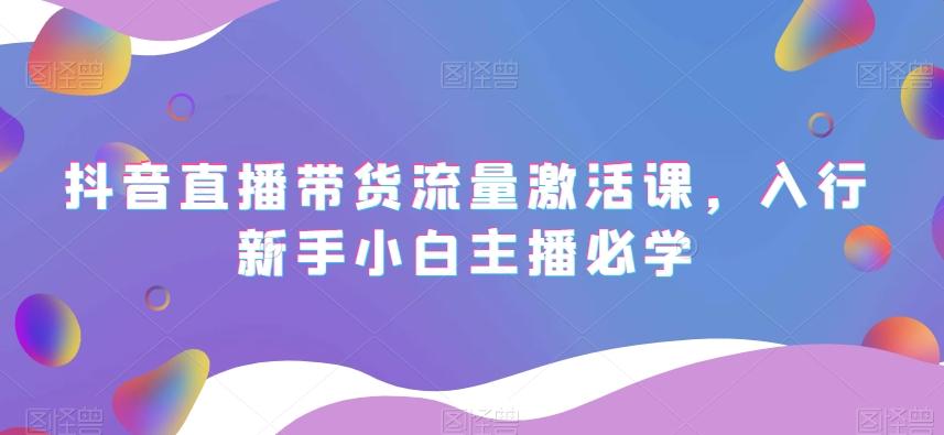 抖音直播带货流量激活课，入行新手小白主播必学-89网创
